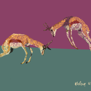 a digital print of pronking springbok