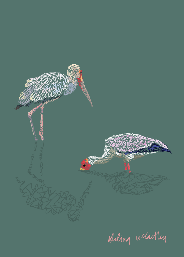a digital print of storks